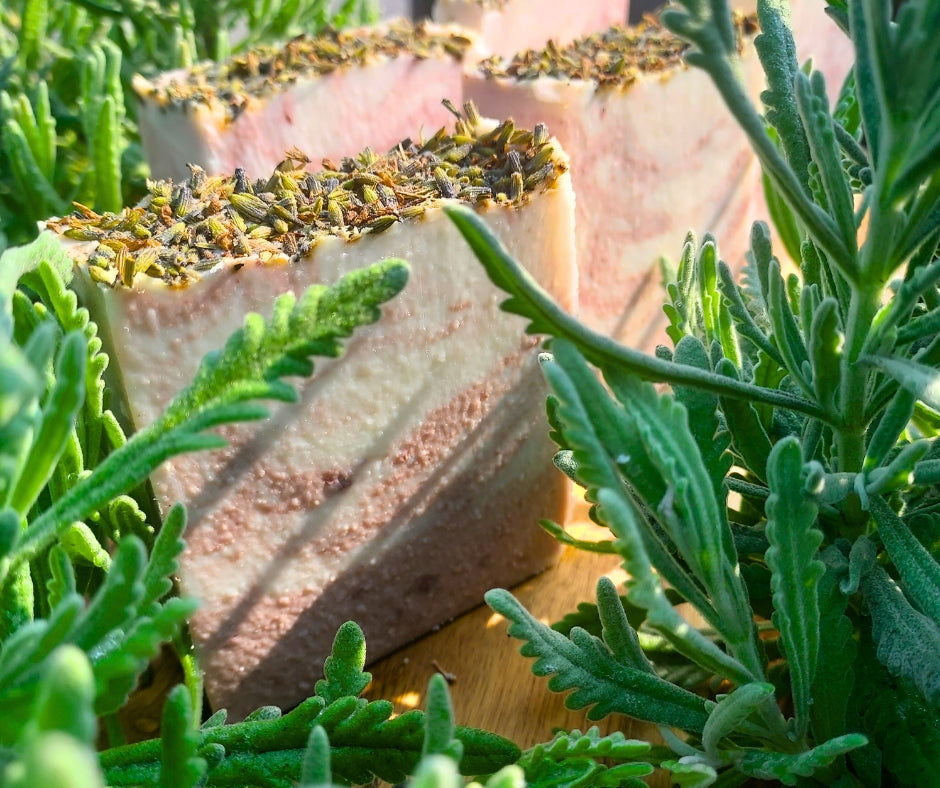 Three bars of soap with lavender on a wooden surface surrounded by green plants